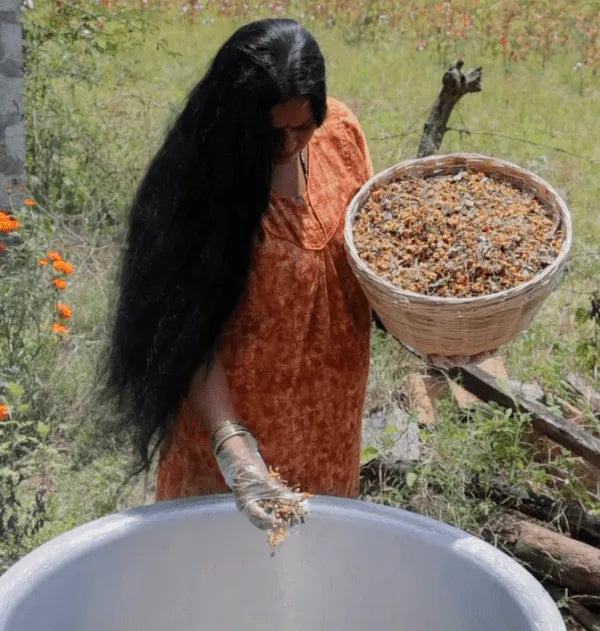 Adivasi Hair Oil | Adivasi Originals